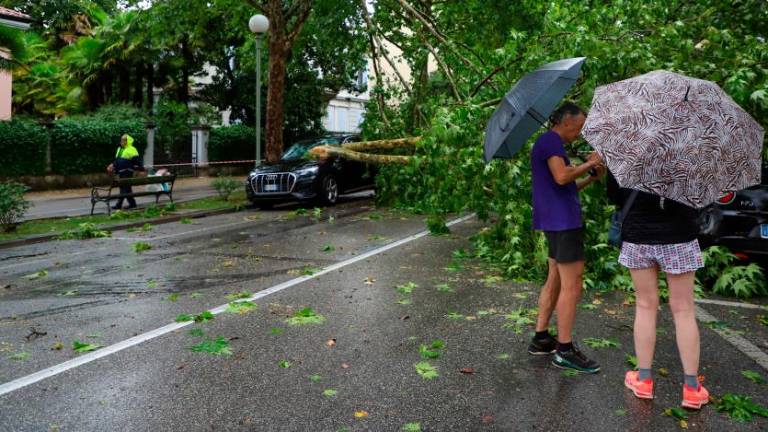 Na Goriškem pustošilo neurje (foto)