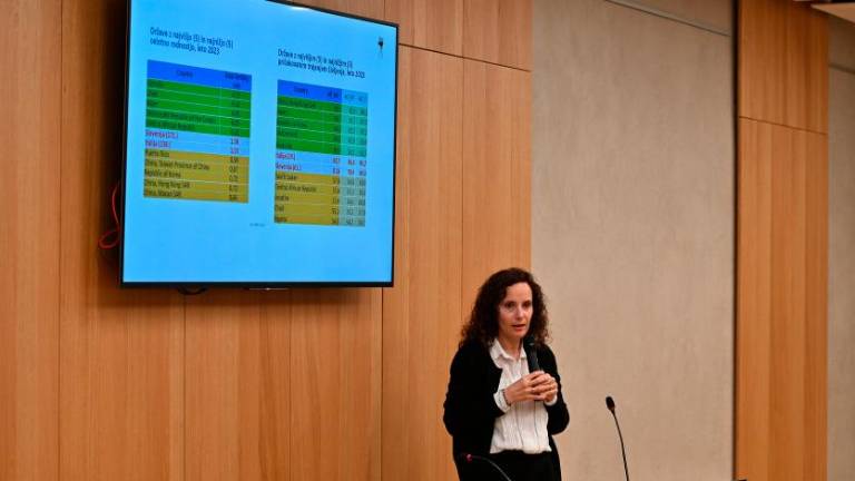 »Potrebno je pridobiti nove slovenske govorce, ključno je šolstvo«