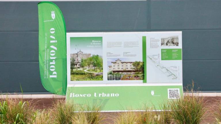 Virtualni sprehod po Starem pristanišču