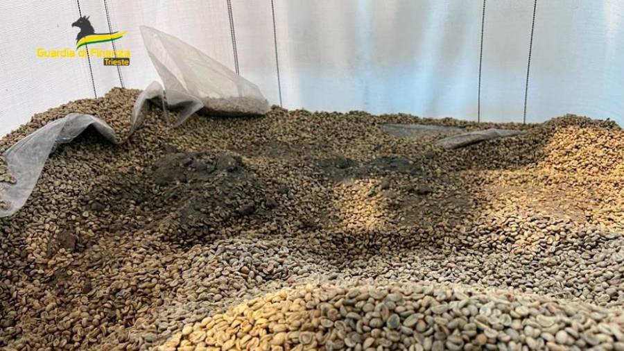 Psi, izurjeni za iskanje drog, so v zabojniku zavohali kokain (FINANČNA POLICIJA)