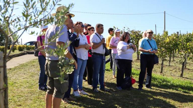Oranžni grozd prevzela kmetija Primosic