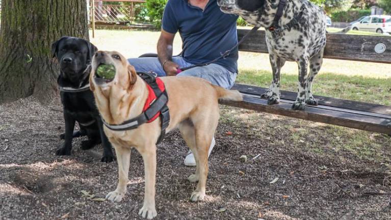 Število kužkov poskočilo