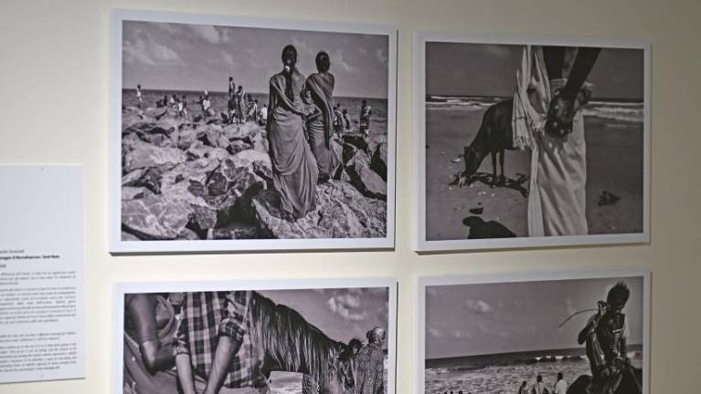 Tudi v Trstu lahko pogled seže vse do Indije