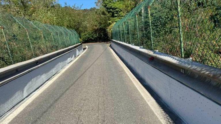 Most nad železnico v Ulici Bonomea spet prevozen