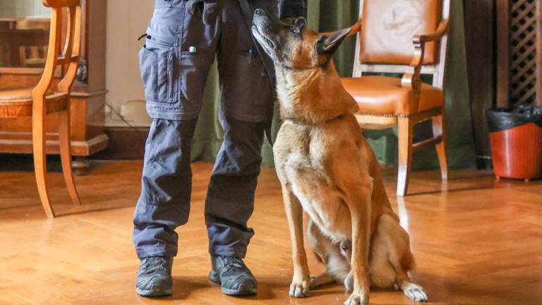 Conan je le postal lokalni policist