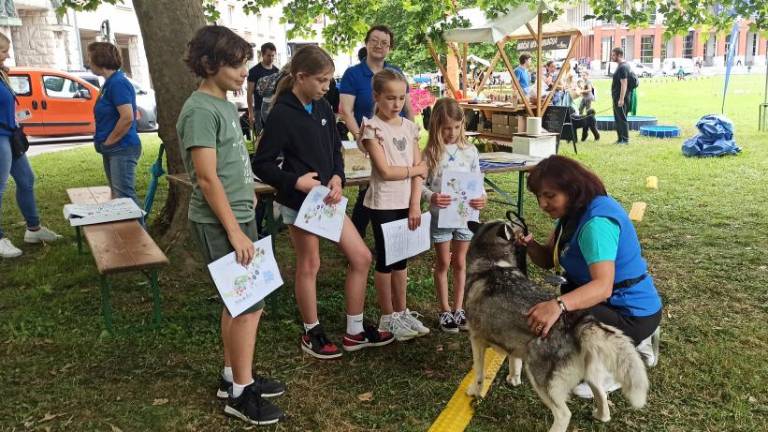Mesto je za en dan postalo raj za otroke