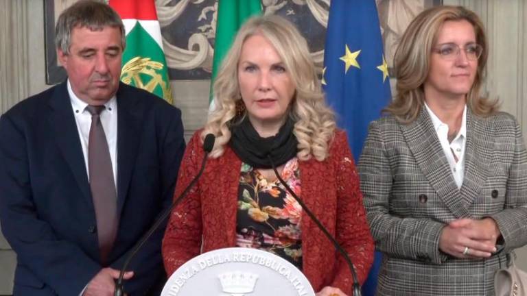 Južni Tirolci ne zaupajo Bratom Italije (video)