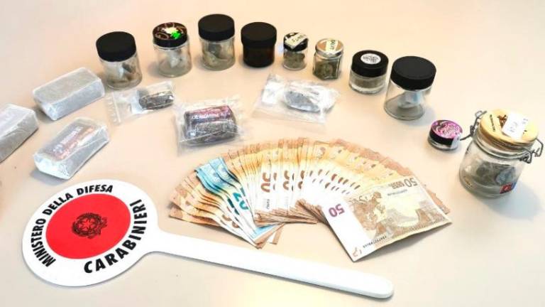 Osemnajstletnik na domu skrival več kot pol kilograma hašiša