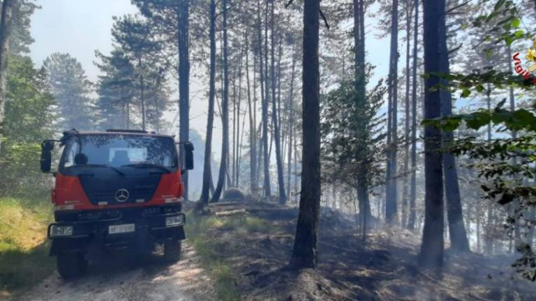 V Reziji potrebujejo dodatna letala