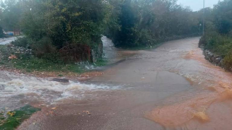 Na Krku najhujše poplave v zadnjih 50 letih