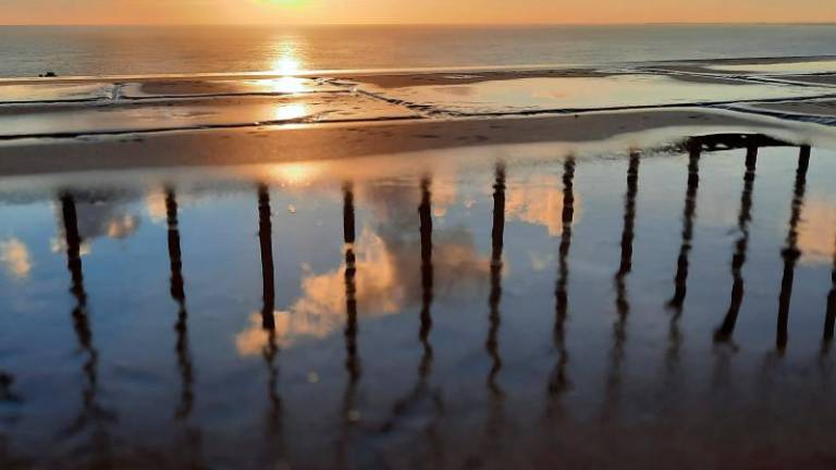 Natečaj o vodnih okoljih za mlade fotografske navdušence