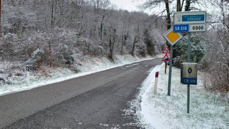Sneg danes pobelil tudi Goriško (foto)