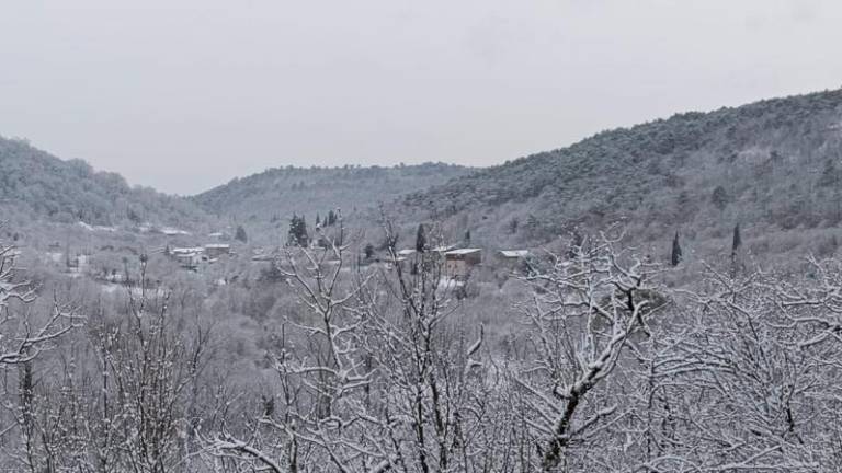 Sneg danes pobelil tudi Goriško (foto)