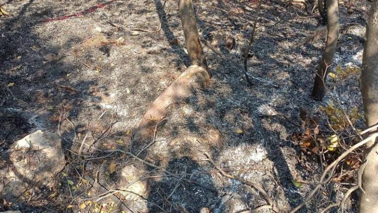 Odstranili 120 neeksplodiranih ubojnih sredstev