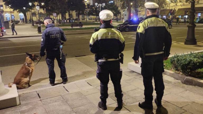 Belgijski ovčar Conan izvohal hašiš