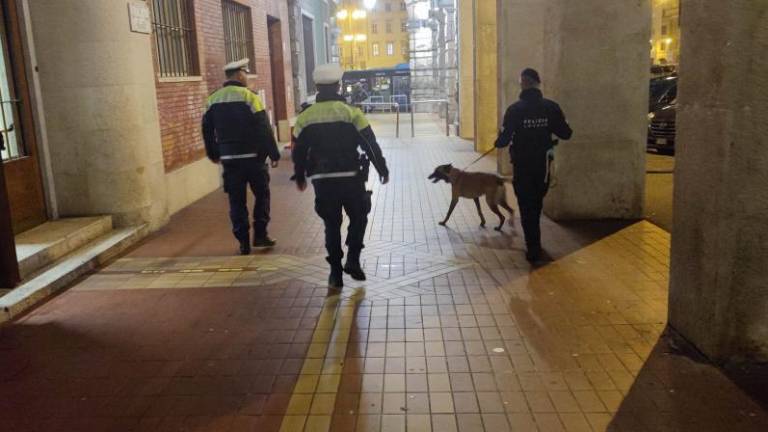 Belgijski ovčar Conan izvohal hašiš