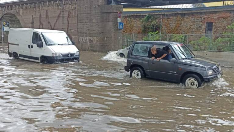 Dež ponovno poplavil Trst (FOTO)