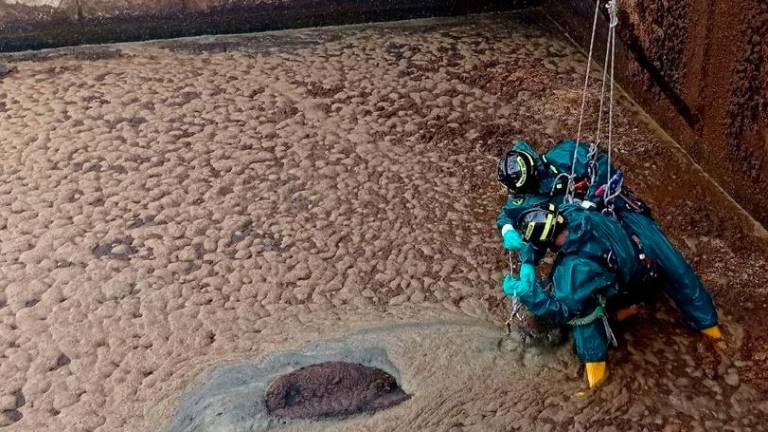 Krava tvegala utopitev v gnojnični jami