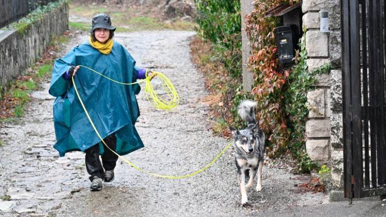 Psi in vodniki so v Repnu iskali pogrešane osebe