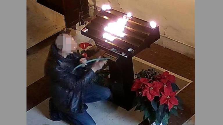 Kradel v miljski stolnici