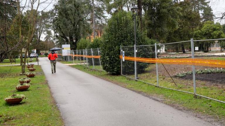 Zasadili so 60 dreves in skoraj 40 tisoč rastlin