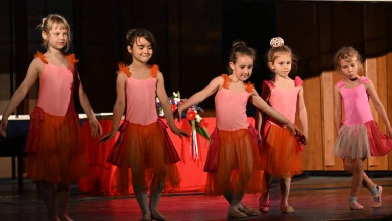 Živka Persi tretjič na čelu ZSKD