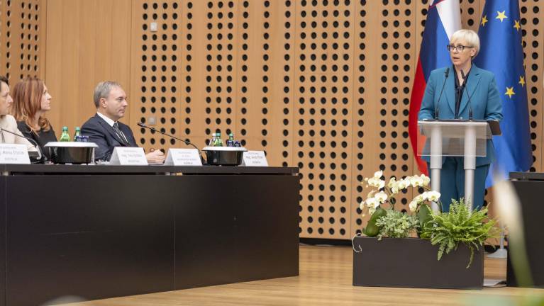 »Ne bom tiho, če zunanja politika ne bo skladna z ustavo«
