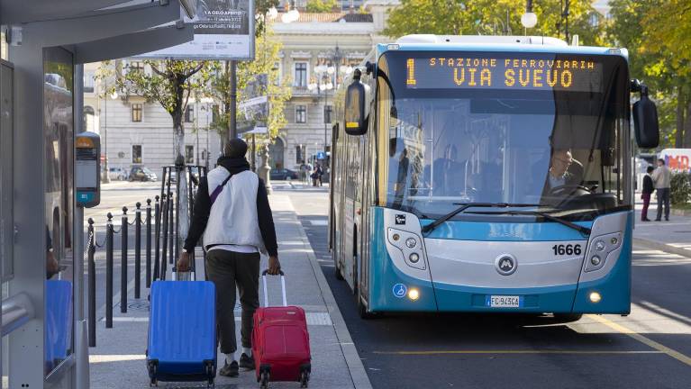 Do naselja Barcolana bo peljalo več avtobusov