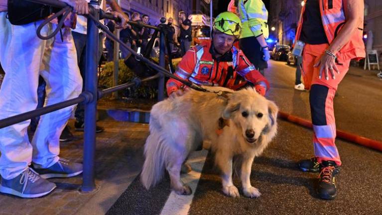 »Pograbil sem psa in zdrvel po zakajenem stopnišču«