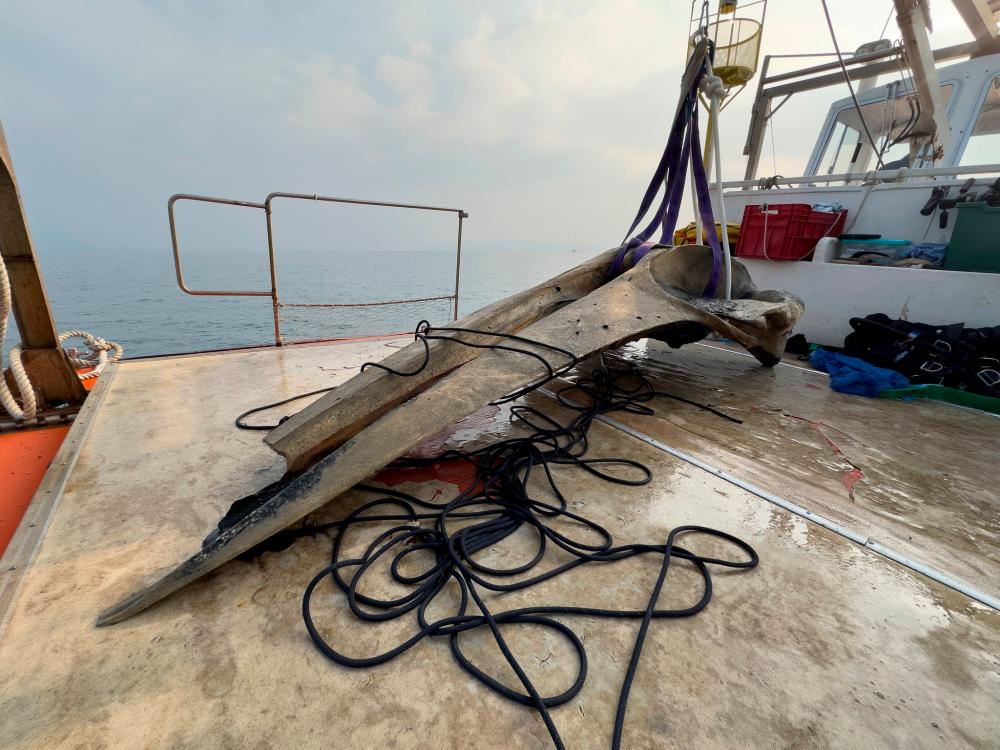 Iz morja rešili še lobanjo nesrečnega brazdastega kita