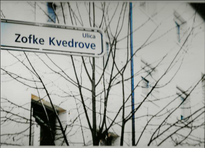 »Slovenke naj dobijo zasluženo mesto na zemljevidu naših mest«