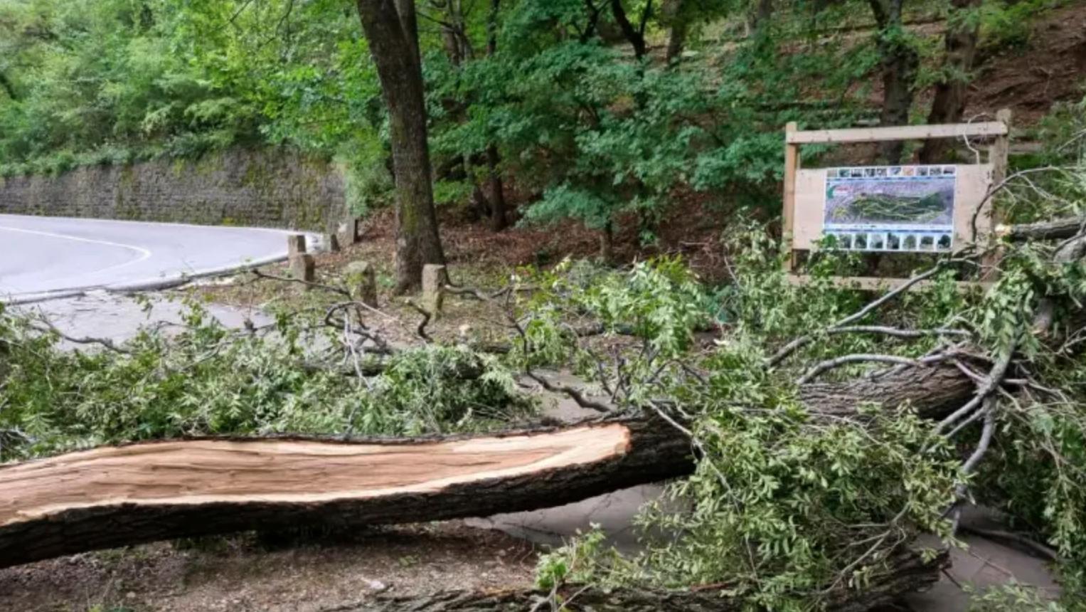 Burja s sunki do 111 km/h in visoko povprečno hitrostjo povzroča težave