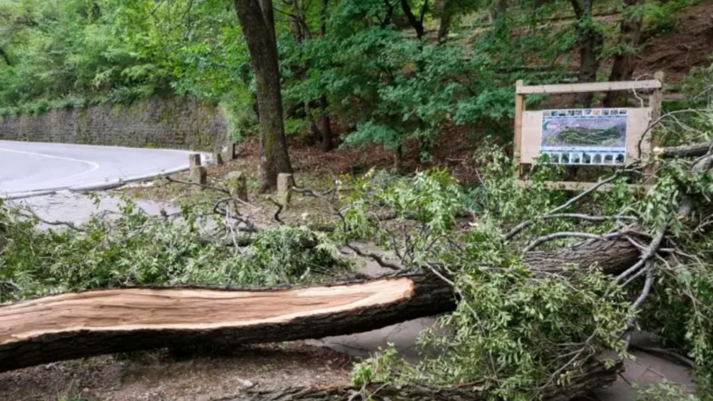 Zaradi pričakovanega slabega vremena jutri (petek) zapirajo mestne parke
