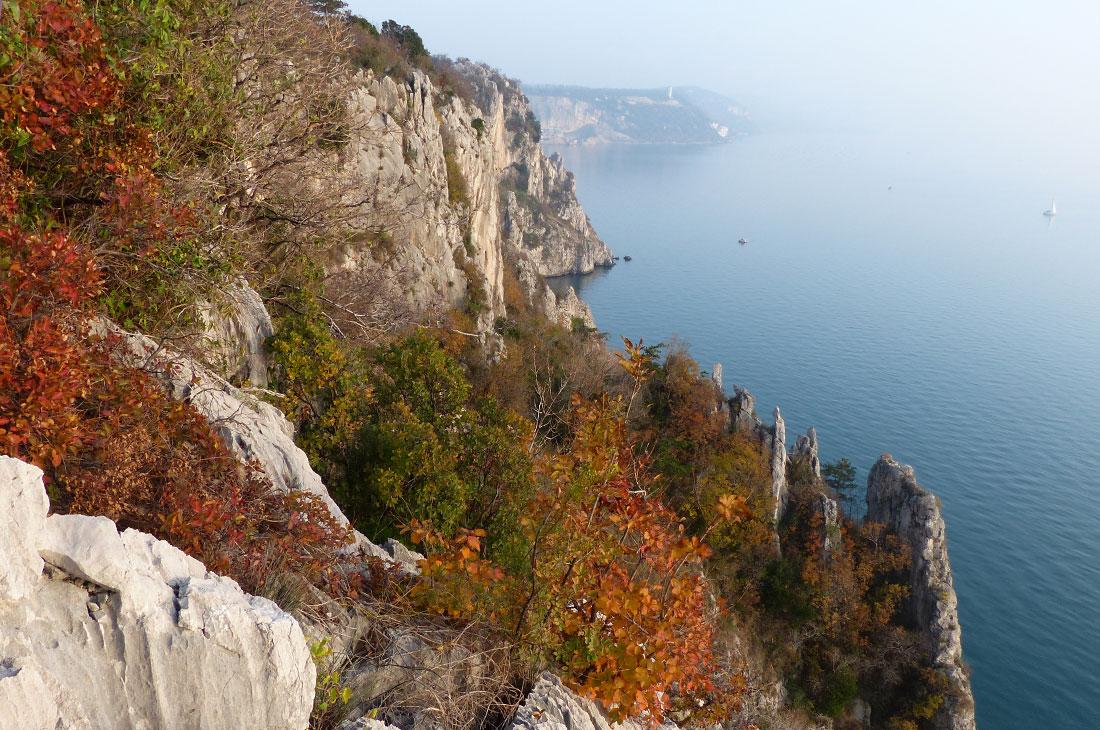 Drevi predavanje o hrustančnicah v Jadranu