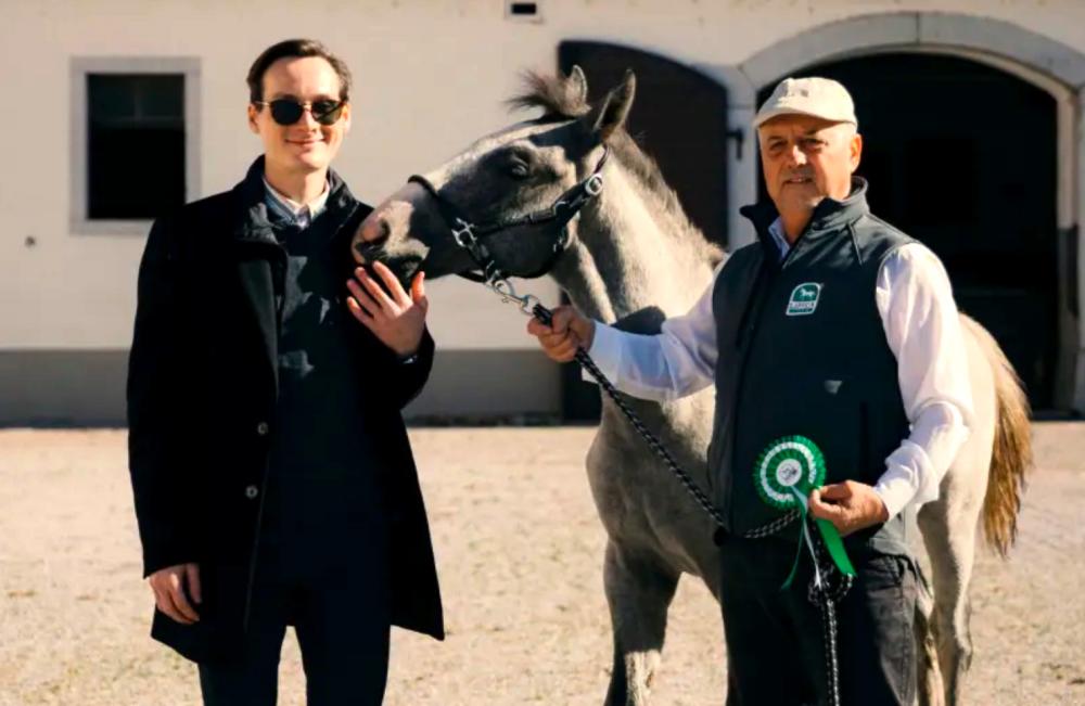 Domen Prevc postal boter lipicanskega žrebeta