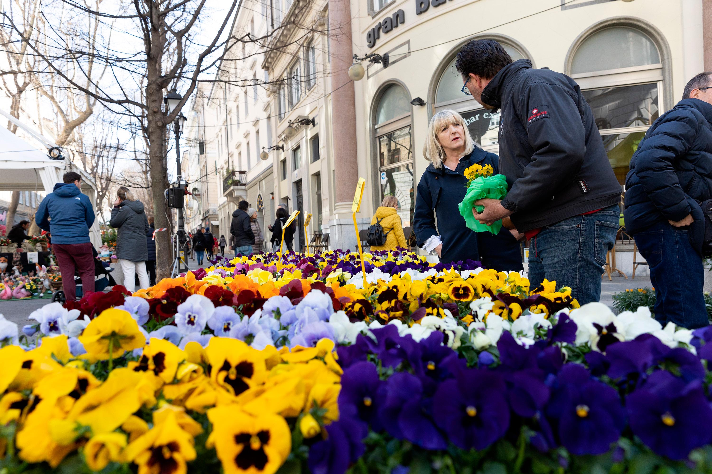 V Drevoredu 20. septembra od sobote spet sejem cvetja