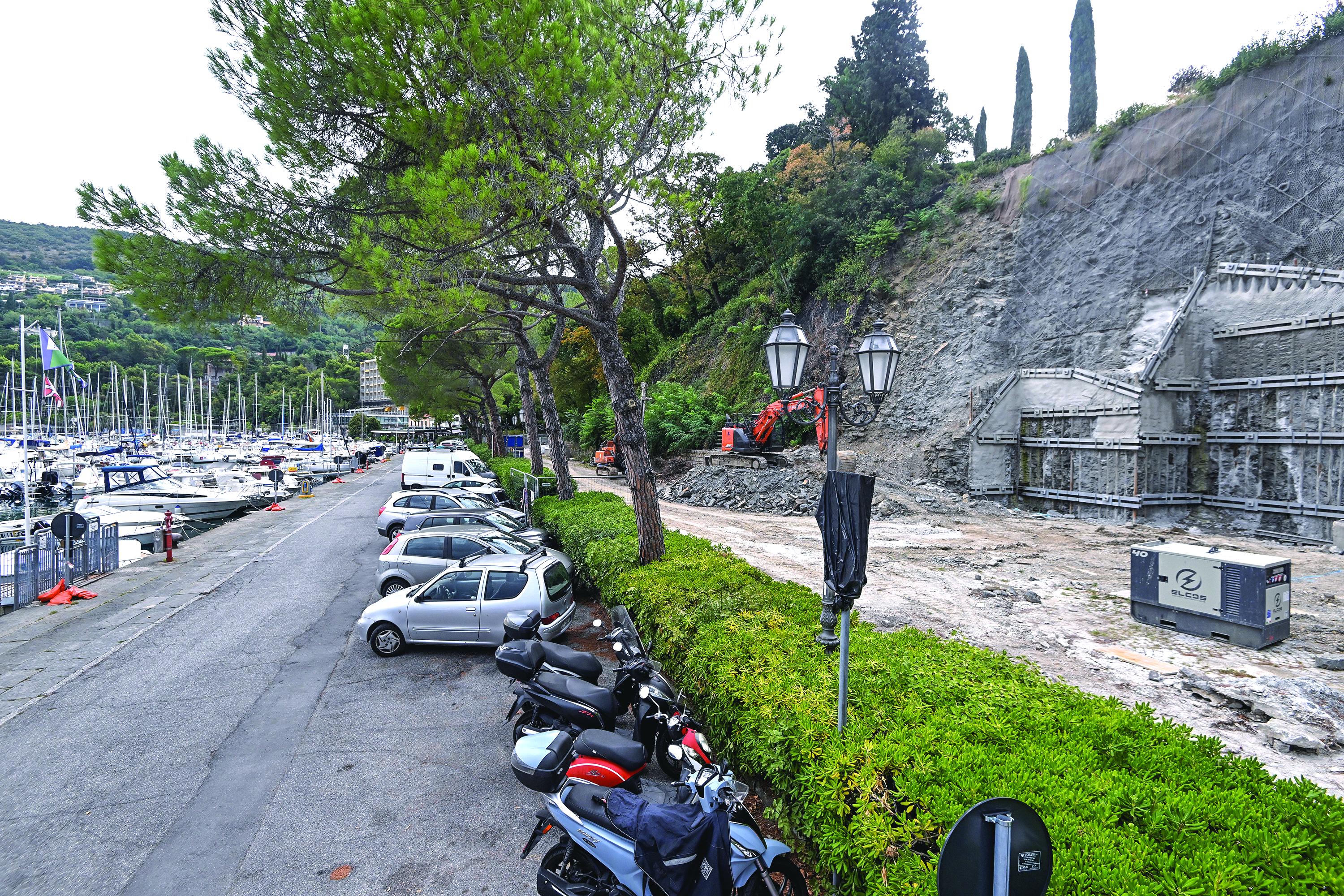 V boju za ohranitev borov se ne bodo vdali