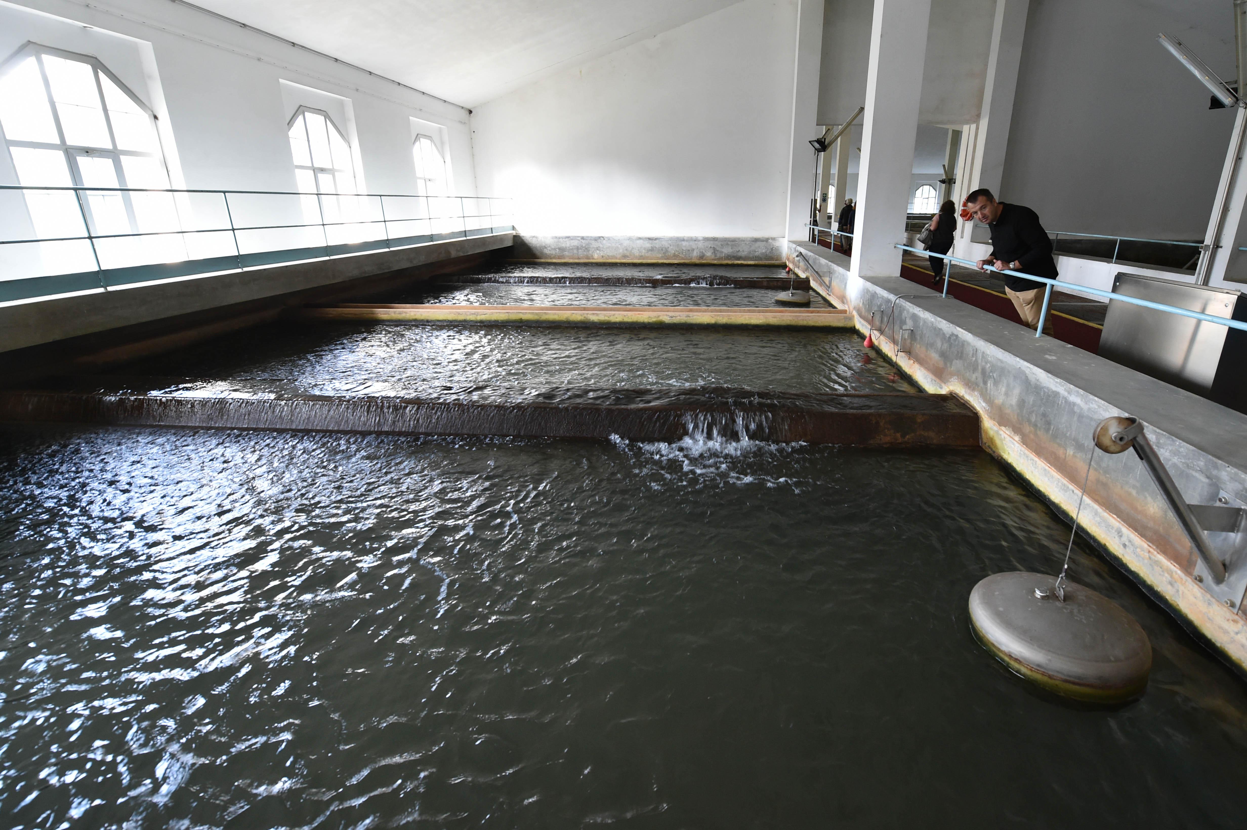 V Trstu je voda 75 odstotkov dražja kot v Vidmu