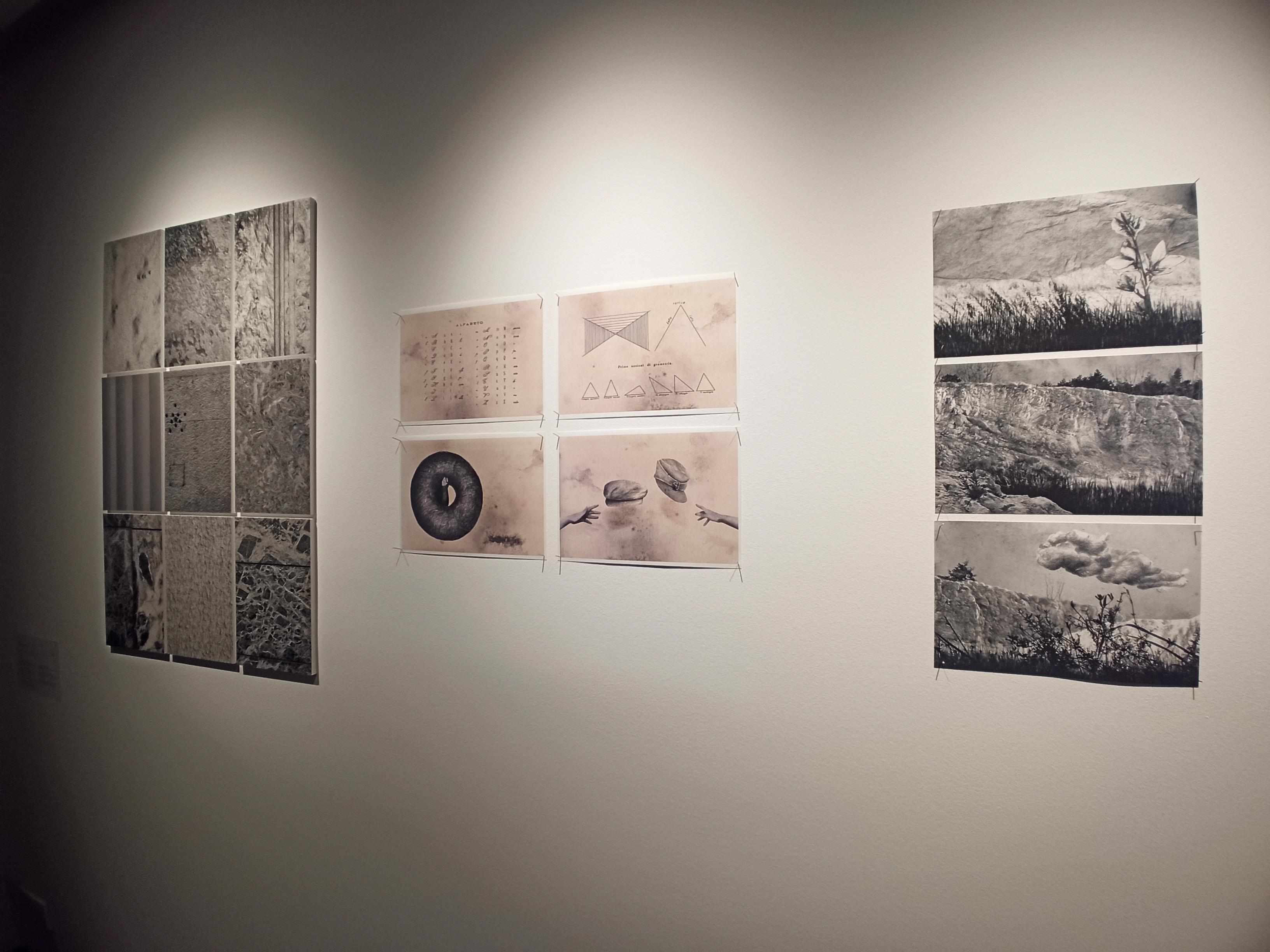 Razstava, ki razmišlja o jeziku in demokraciji