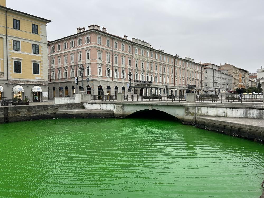 Voda v Velikem kanalu se je pobarvala v zeleno