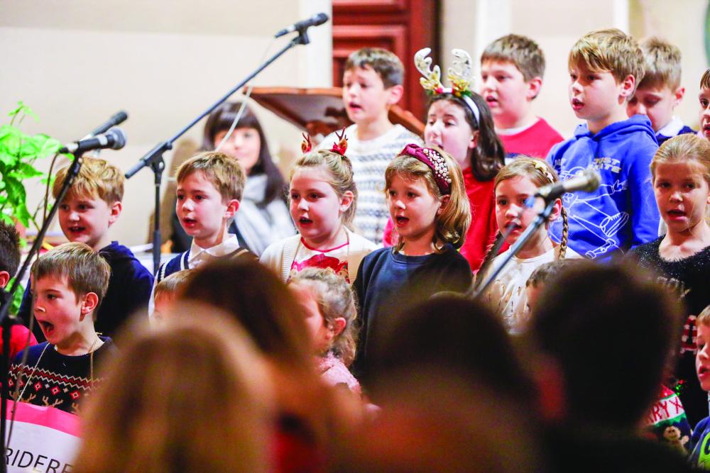 Donele so zimzelene in božične pesmi