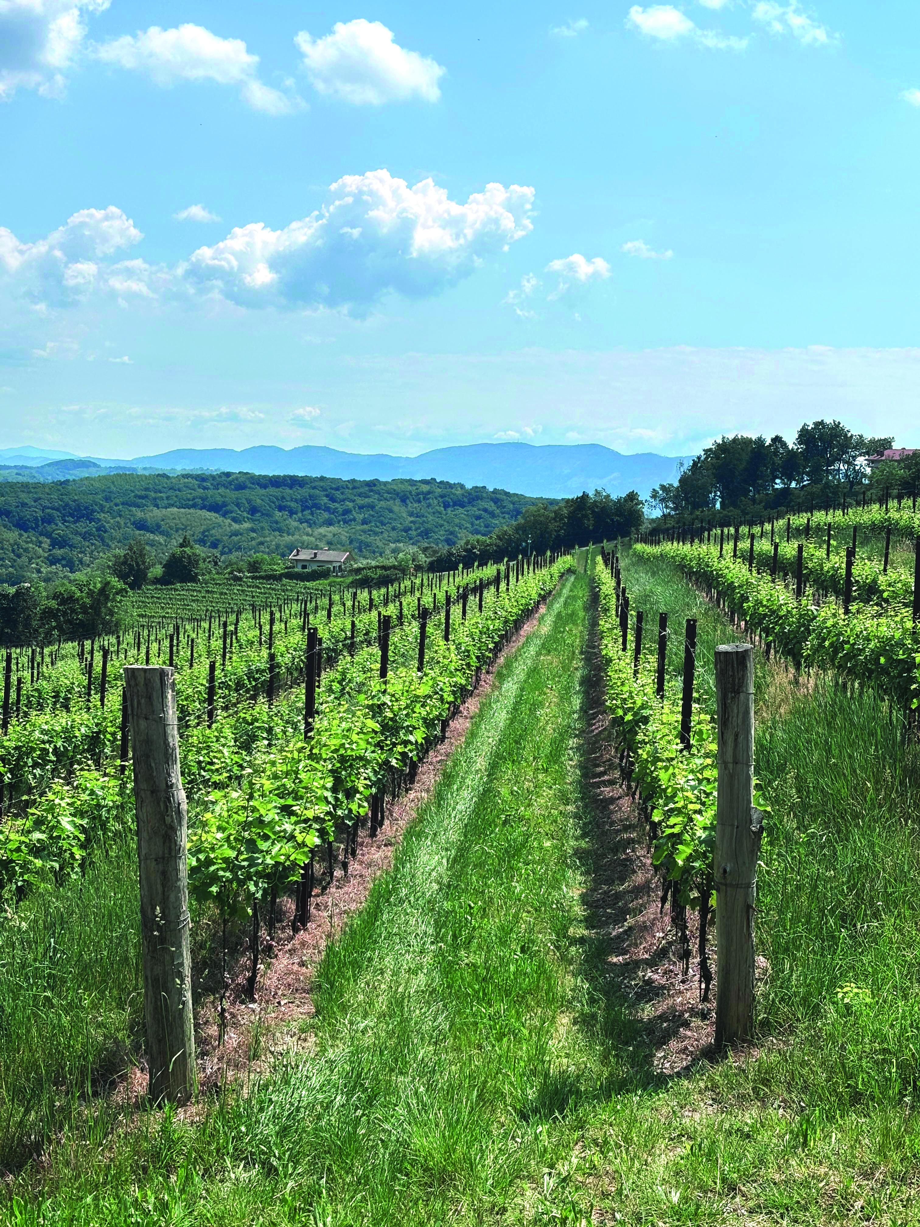 »Odvzem statusa gorske občine ogroža prihodnost številnih krajev«