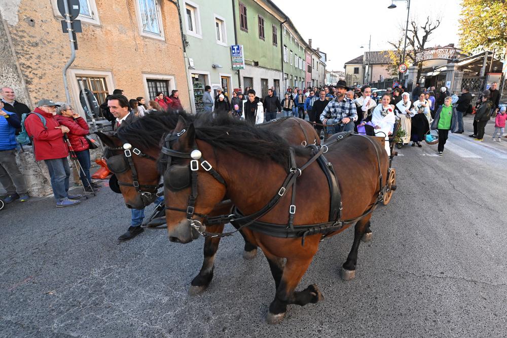 Bliža se tradicionalno proseško martinovanje