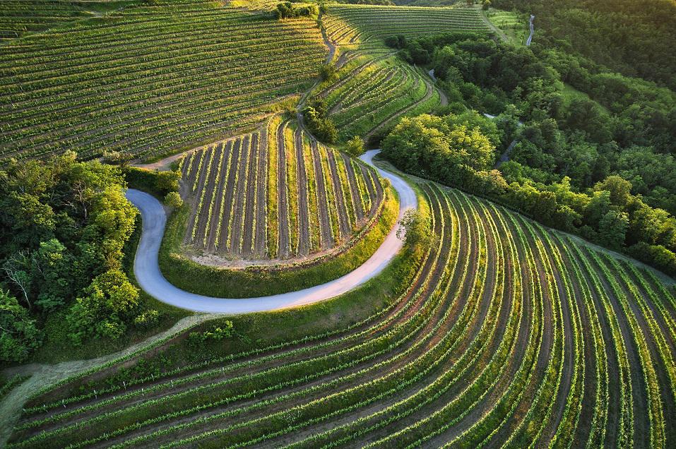 Alpsko-jadransko partnerstvo bo svoje destinacije promoviralo v Kanadi