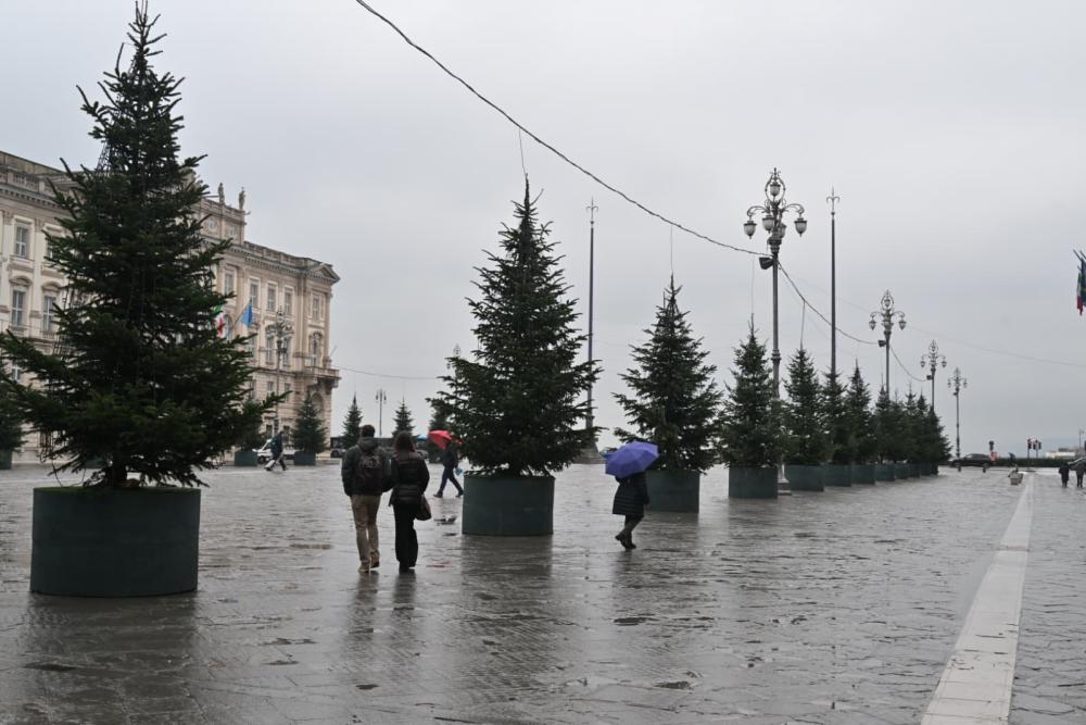 Sredi Trsta kar 71 božičnih stojnic