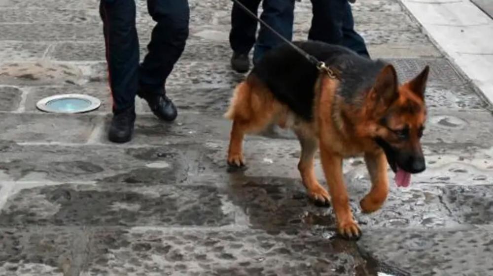 Varnostni organi preiskali nekatere drugostopenjske srednje šole