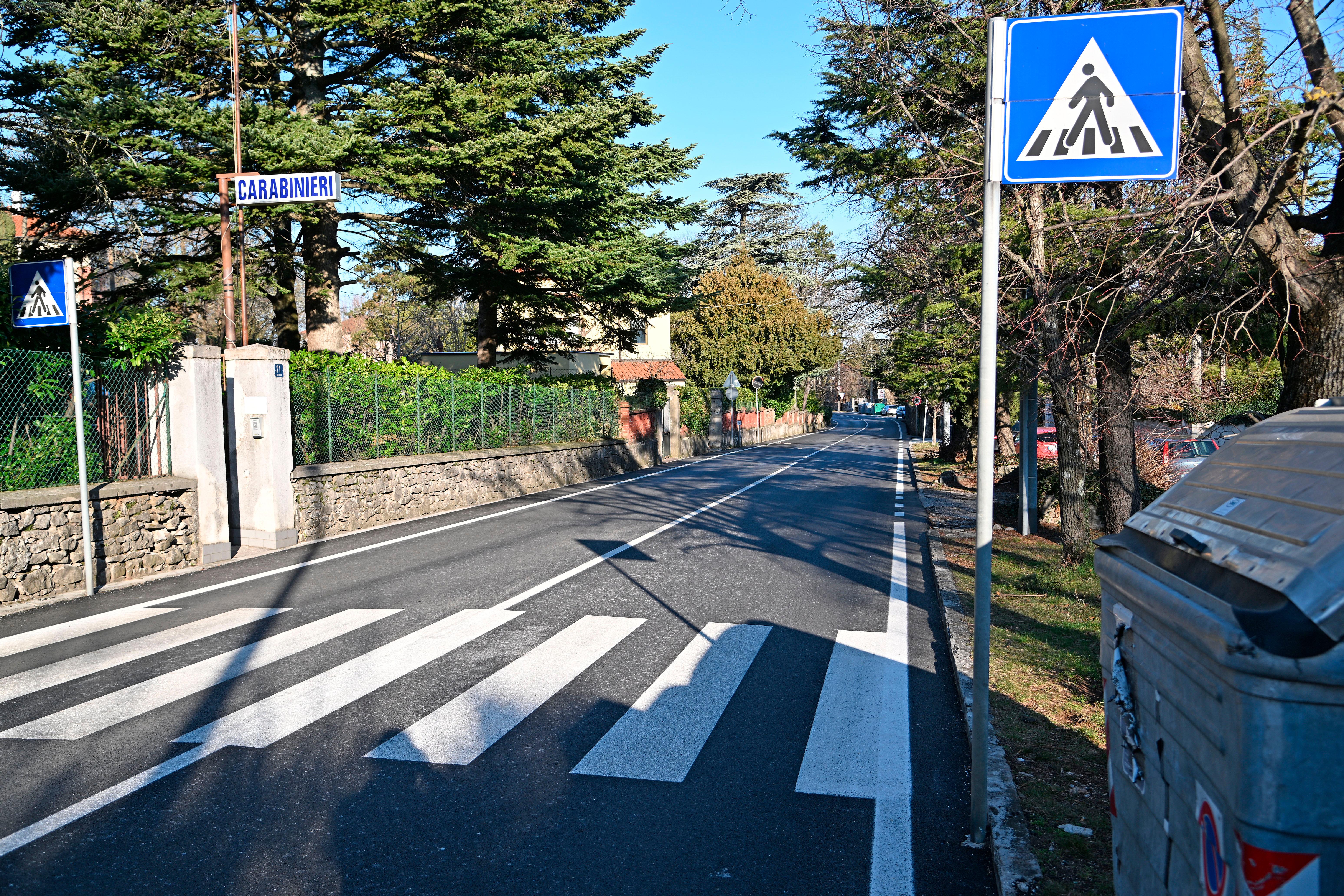 Ugrabili naj bi ga v Vicenzi in našli na Opčinah