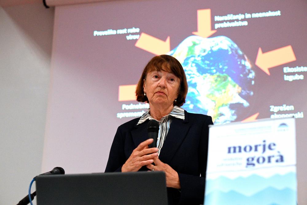 Podnebnih sprememb ne moremo več ustaviti, lahko jih le ublažimo