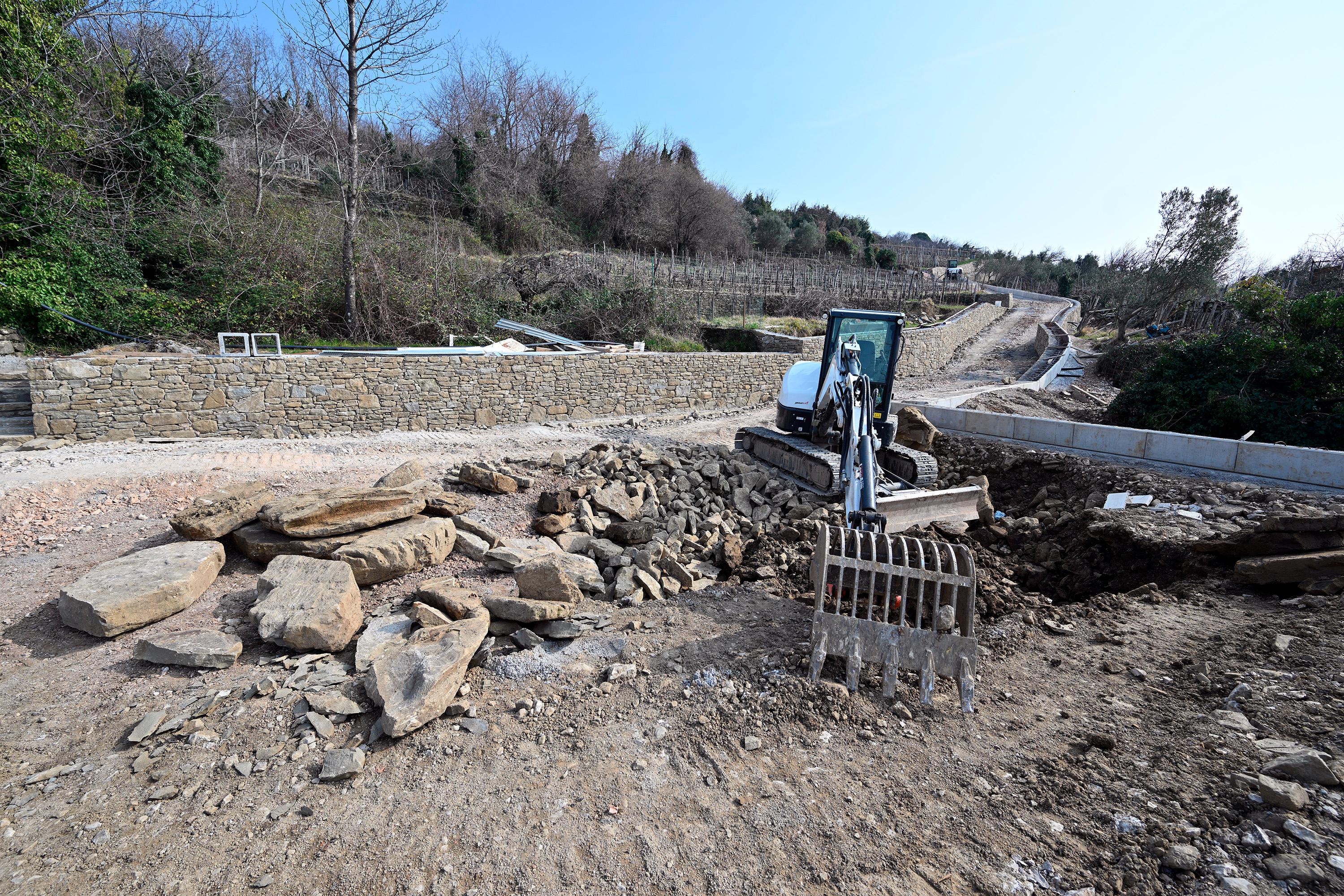 Vinogradniki bodo letos trgali ob širši in povsem prevozni cesti