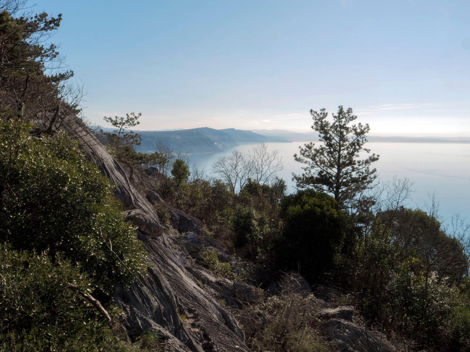Spletno predavanje o varovanju biotske raznolikosti na Krasu